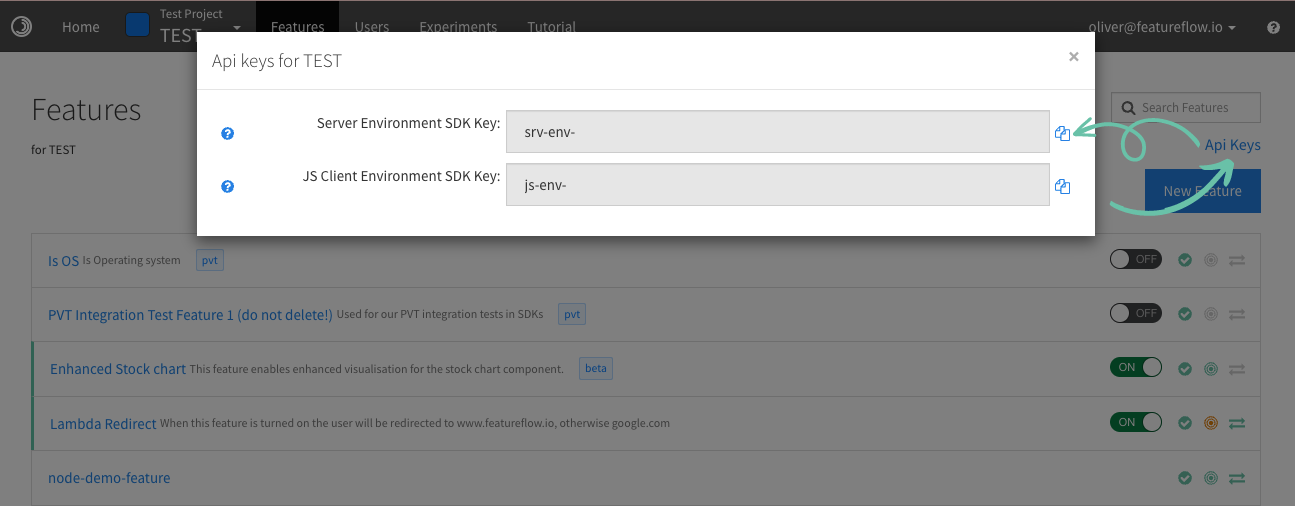 Copy the Server SDK Key